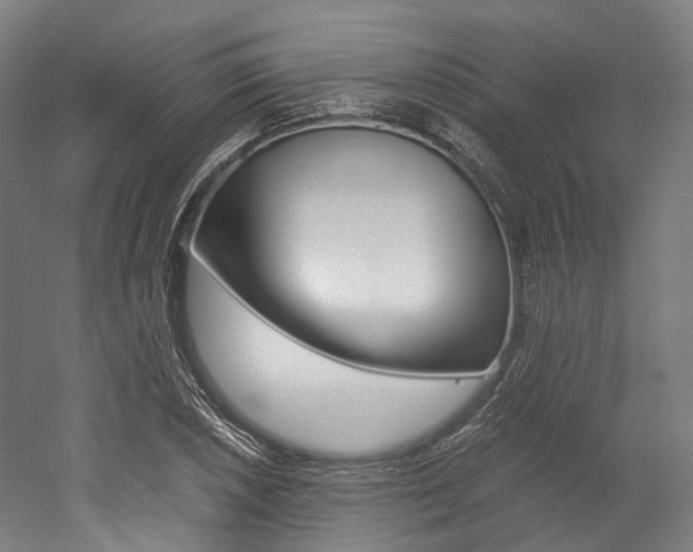 X0000052631026200507011028