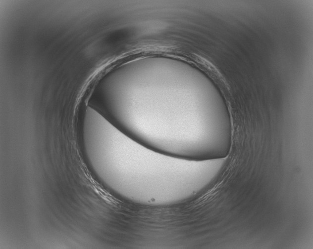 X0000052631027200507011028