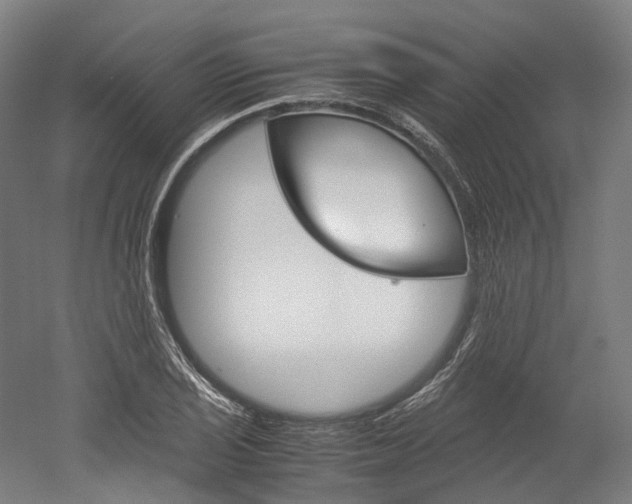 X0000052631029200507011028