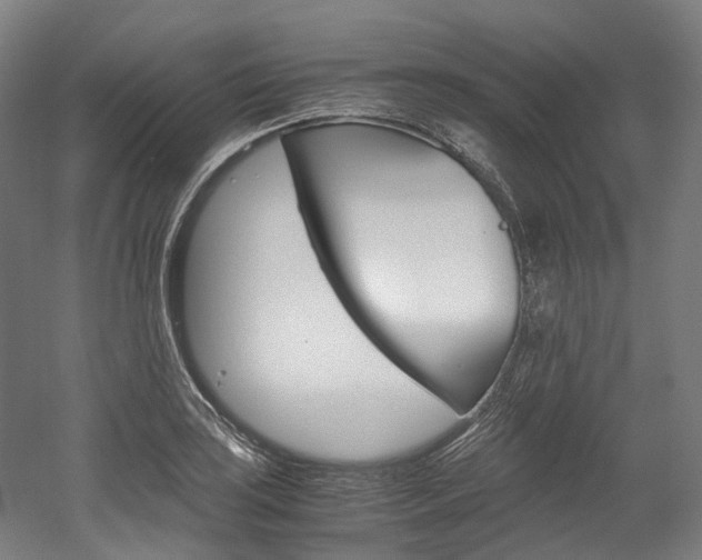 X0000052631035200507011028