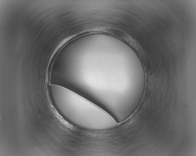 X0000052631036200507011028