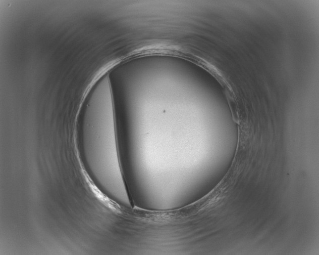 X0000052631042200507011028