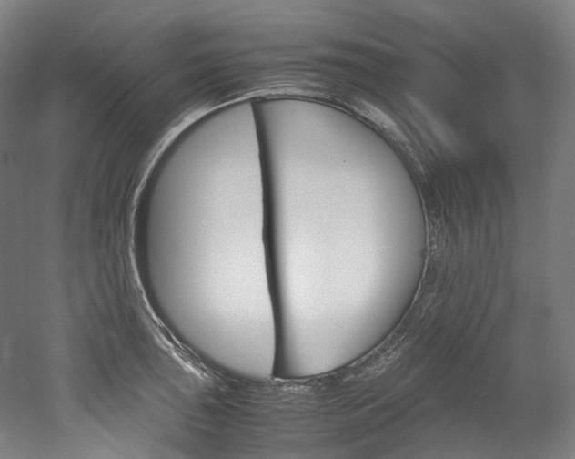 X0000052631043200507011028