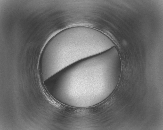 X0000052631044200507011028