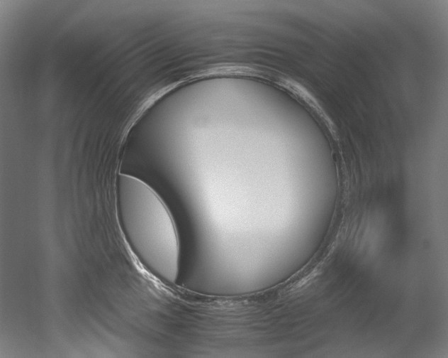 X0000052631049200507011028