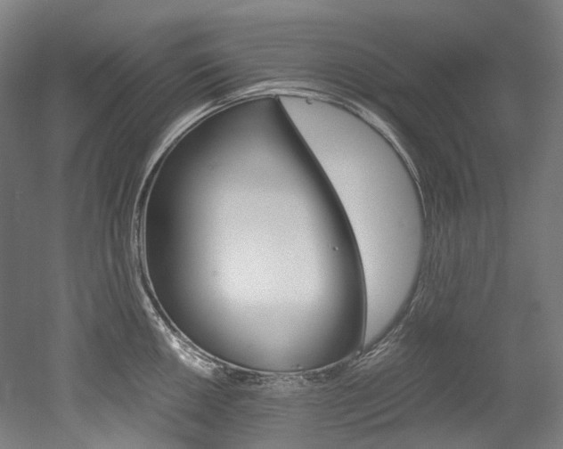 X0000052631050200507011028