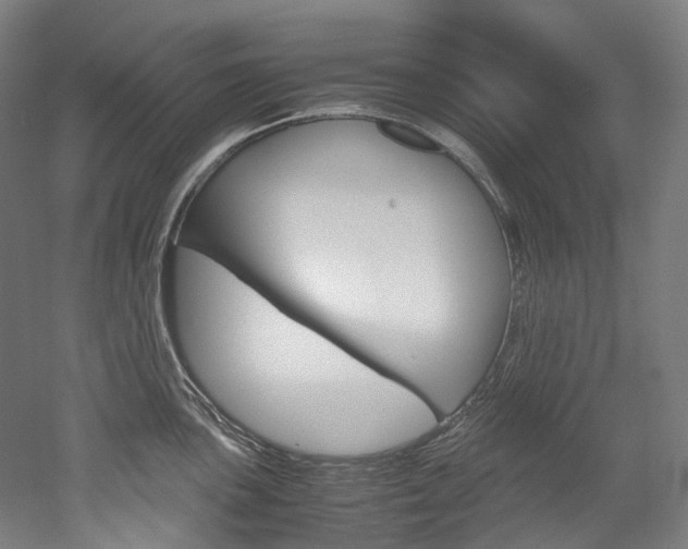 X0000052631051200507011028