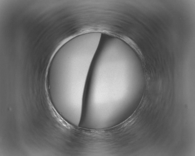 X0000052631052200507011028