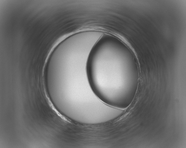 X0000052631053200507011028