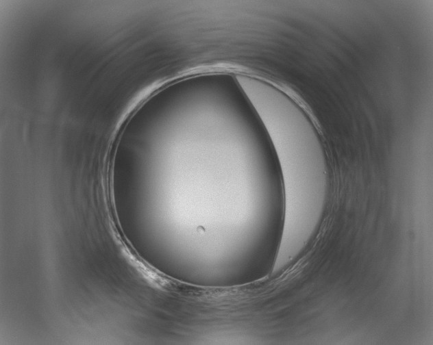 X0000052631054200507011028