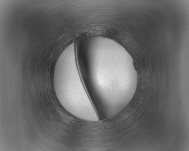 X0000052631058200507011028