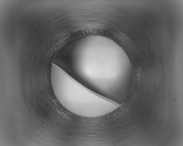X0000052631060200507011028