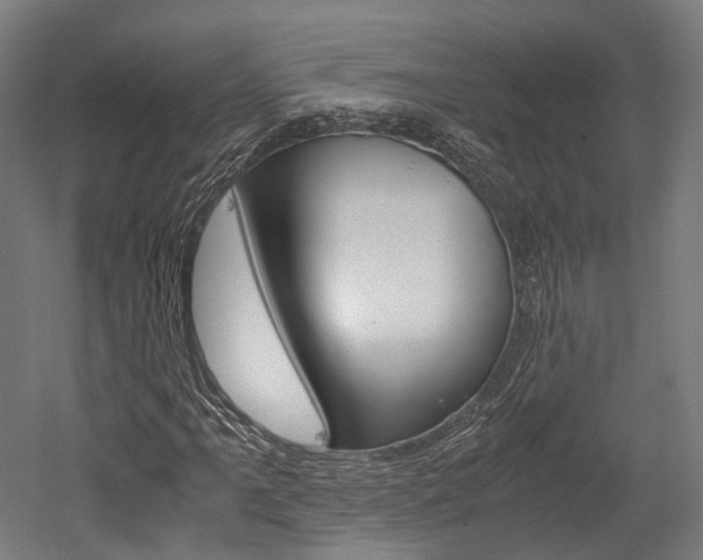 X0000052631061200507011028