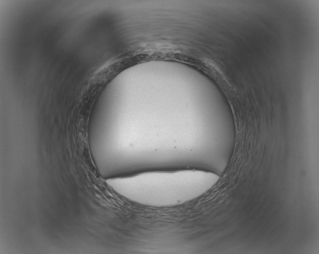 X0000052631063200507011028