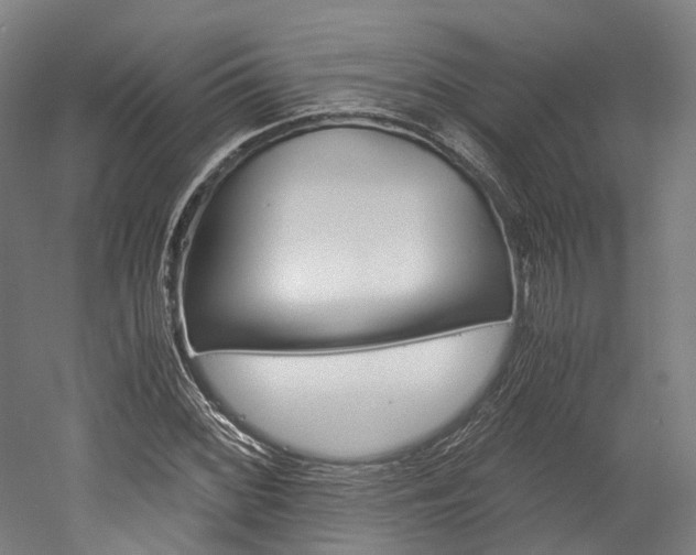 X0000052631068200507011028