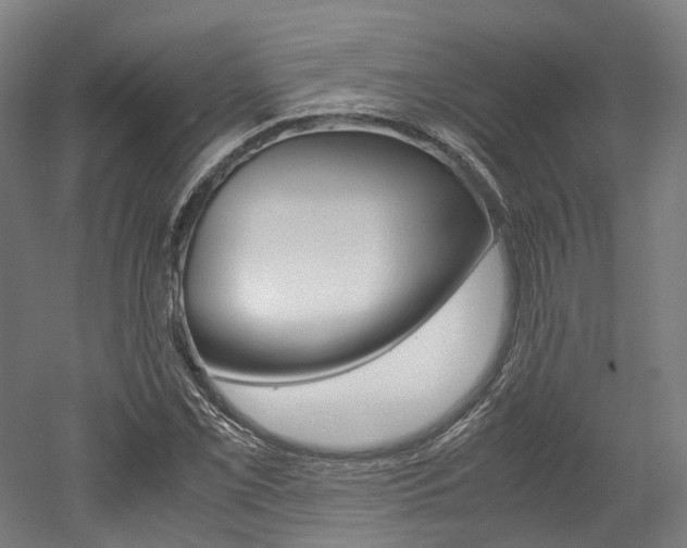 X0000052631069200507011028