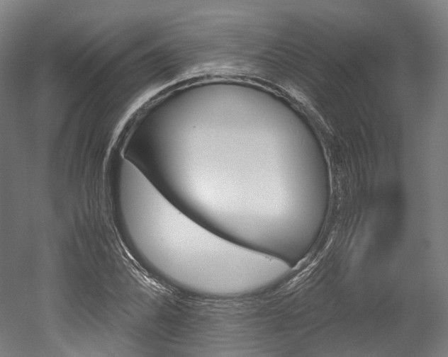 X0000052631070200507011027