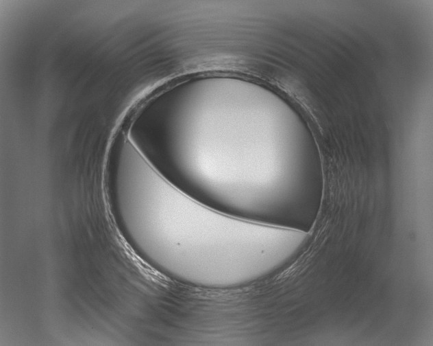 X0000052631072200507011027