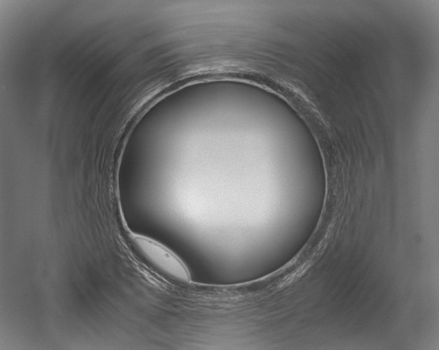 X0000052631073200507011027
