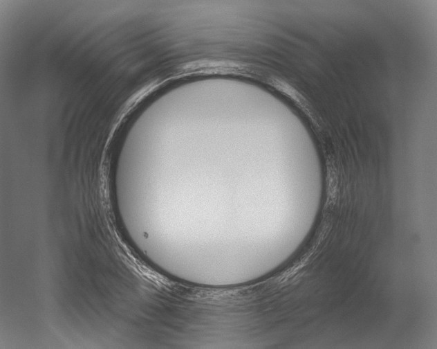 X0000052631074200507011027