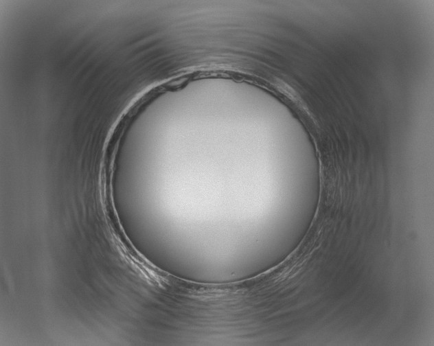 X0000052631076200507011027