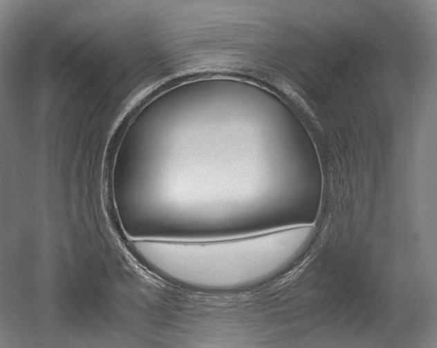 X0000052631077200507011027