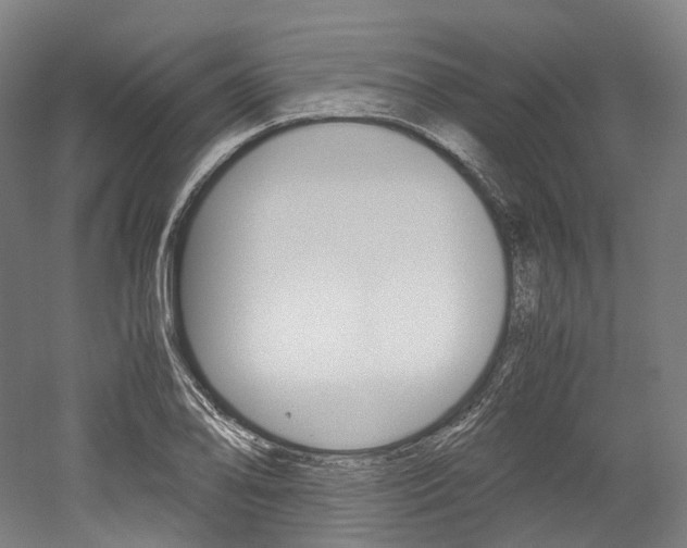 X0000052631078200507011027