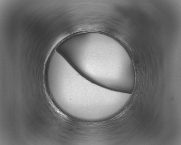 X0000052631079200507011027