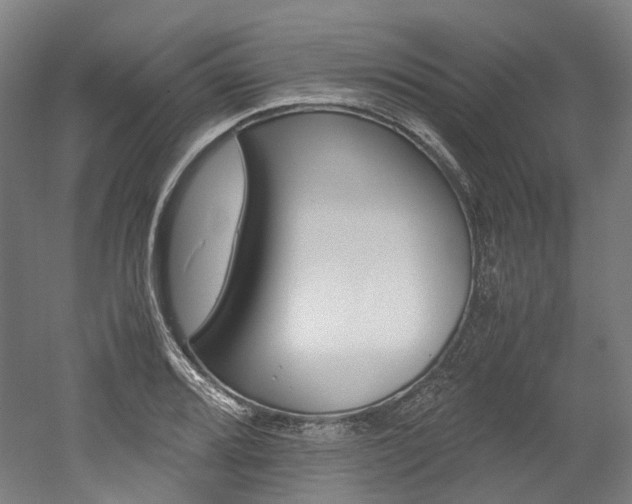 X0000052631080200507011027