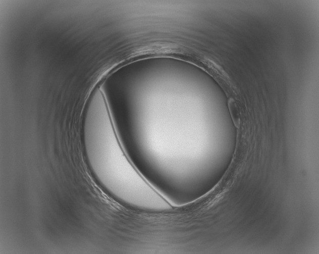 X0000052631081200507011027