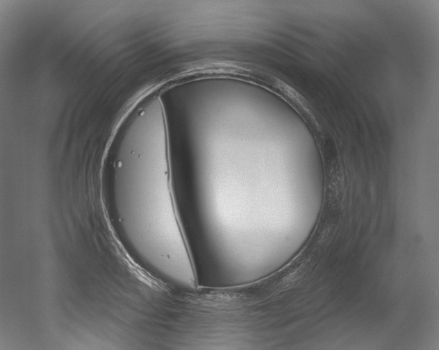 X0000052631082200507011027