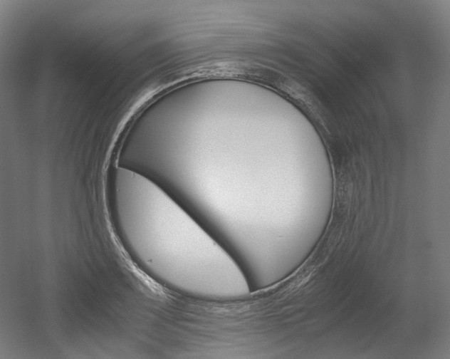 X0000052631083200507011027