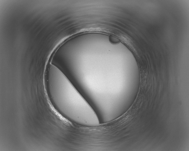 X0000052631084200507011027