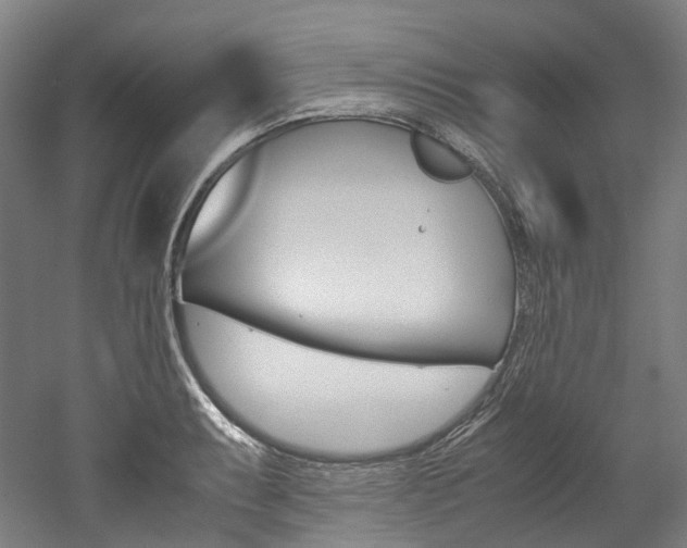 X0000052631087200507011027