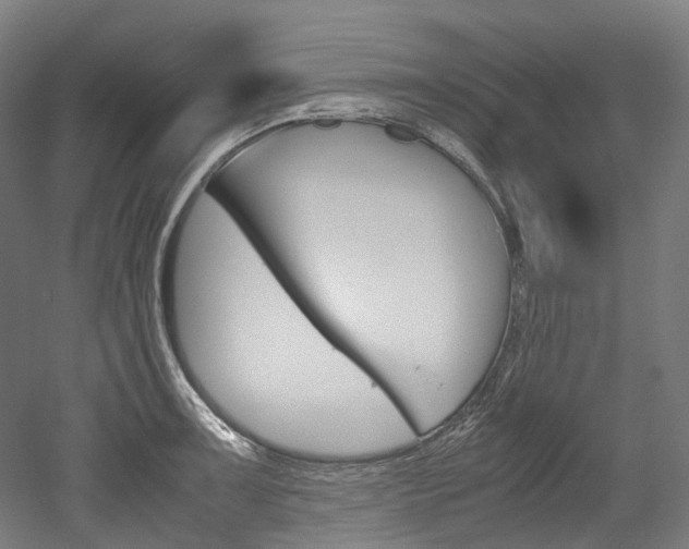 X0000052631091200507011027