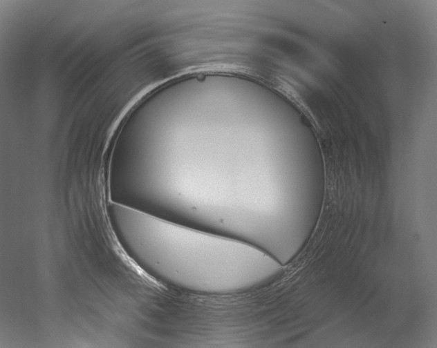 X0000052631092200507011027