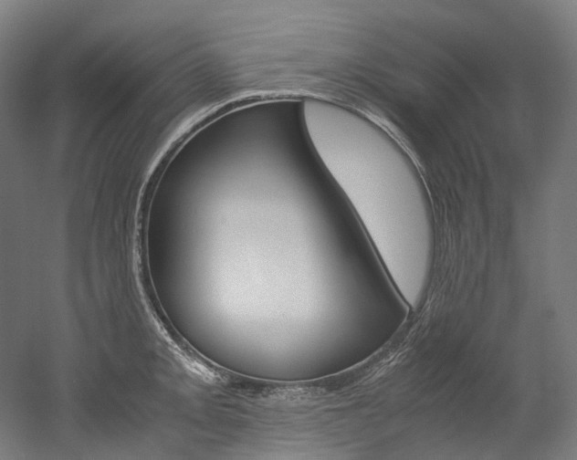 X0000052631093200507011027