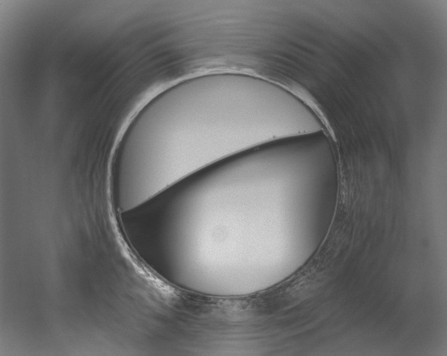 X0000052631096200507011027