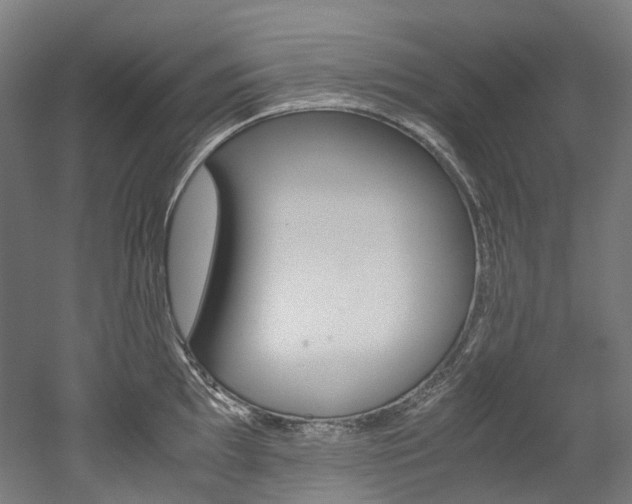 X0000052631097200507011027