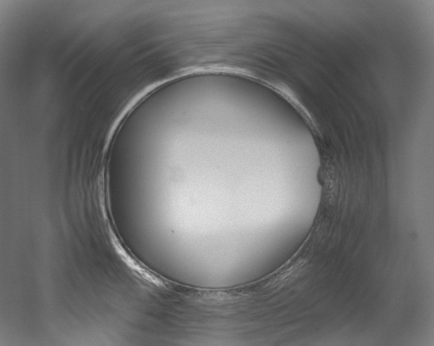X0000052631100200507011027