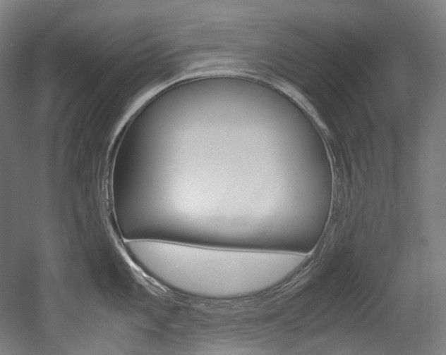 X0000052631101200507011027