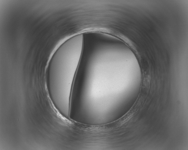 X0000052631102200507011027