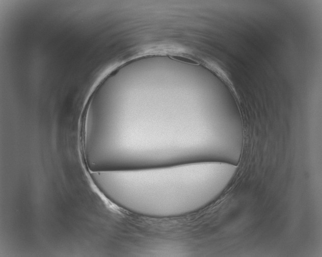 X0000052631103200507011027