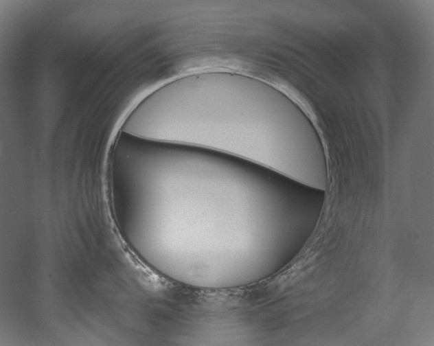 X0000052631104200507011027
