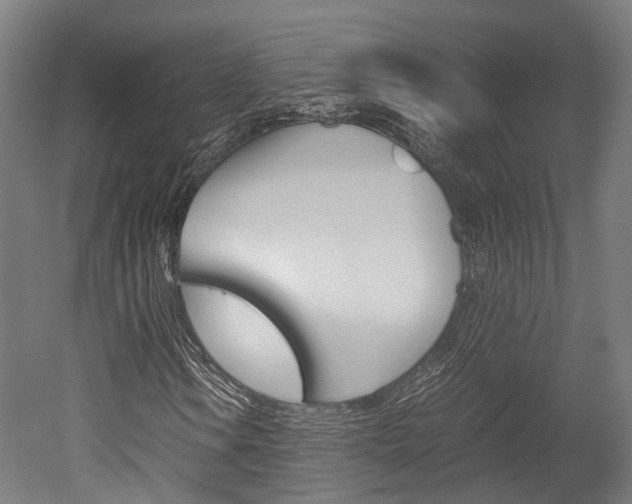 X0000052631106200507011026