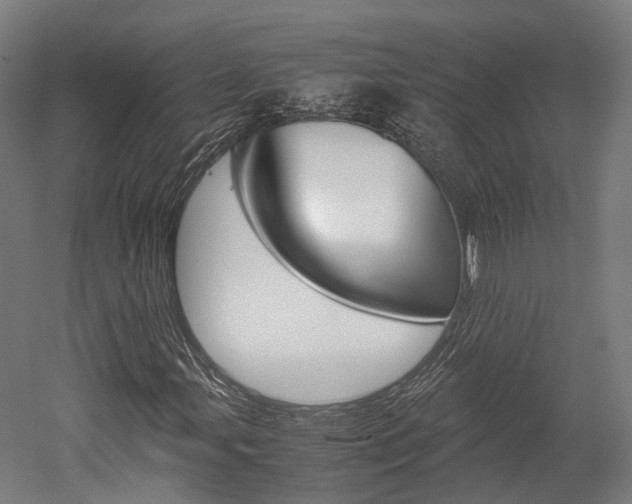 X0000052631107200507011026