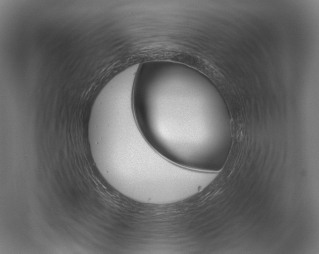 X0000052631108200507011026