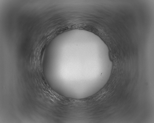 X0000052631109200507011026