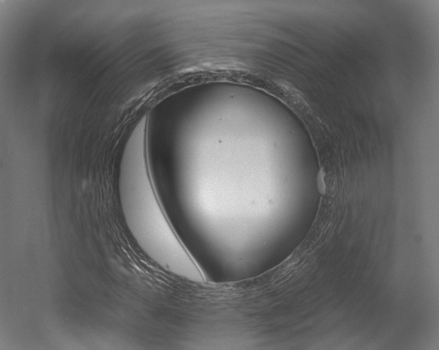 X0000052631110200507011026