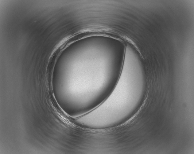 X0000052631114200507011026